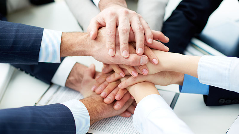 The Team of Civil Engineers and Experts Piles Hands