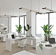 An Office Interior with Furniture Family